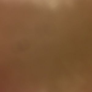 Meet your Posher, Addie